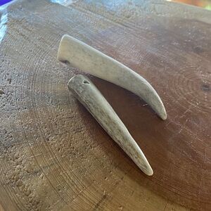 Hand Crafted Natural Horn Earrings